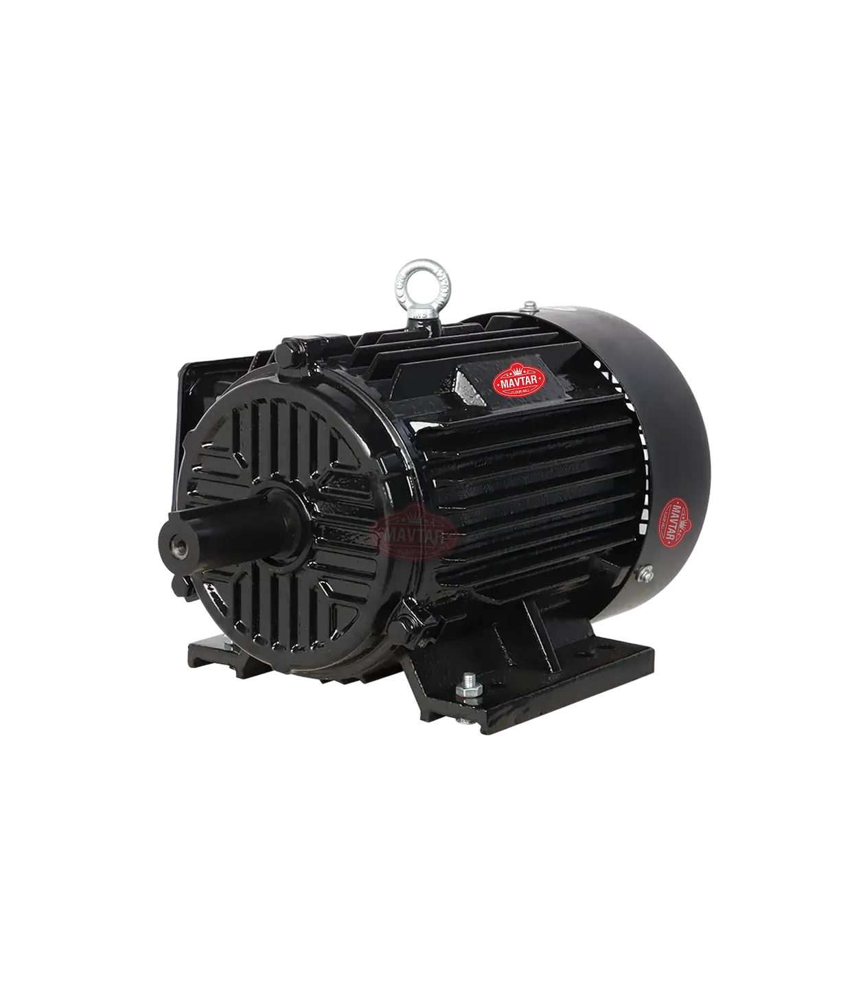 Alternating Current (AC) Electric Motor